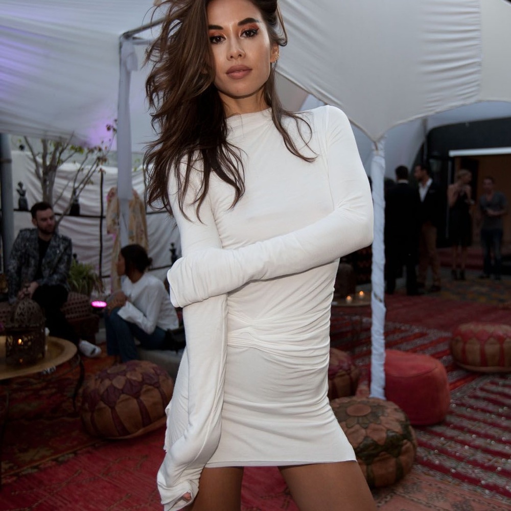 ISO are you am i anouck dress